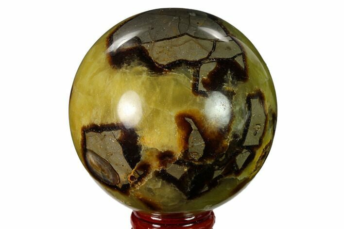 Polished Septarian Sphere - Madagascar #154145